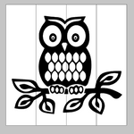 Owl 14x14