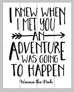 I knew when I met you an adventure was going to happen 14x17