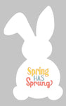 Easter Bunny - Spring has sprung