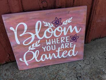 Bloom where you are planted 14x17
