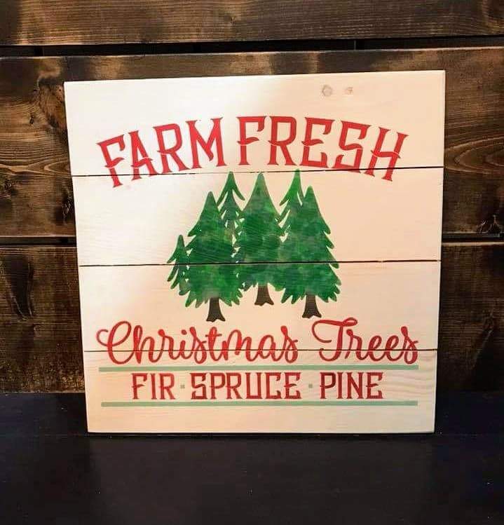 Fresh cut Christmas trees Fir Spruce Pine 14x14