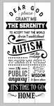 Dear God grant me the serenity to accept that the world doesn't understand autism 10.5x22