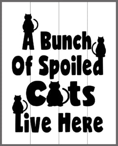 A bunch of spoiled cats live here 14x17