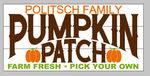 Family pumpkin patch 10.5x22