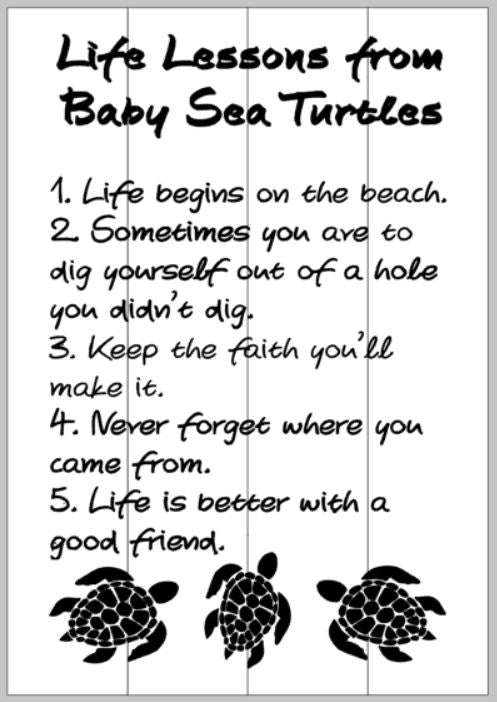 life lessons from a baby turtle 14x20