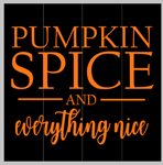 Pumpkin spice and everything nice (bottom cursive) 14x14