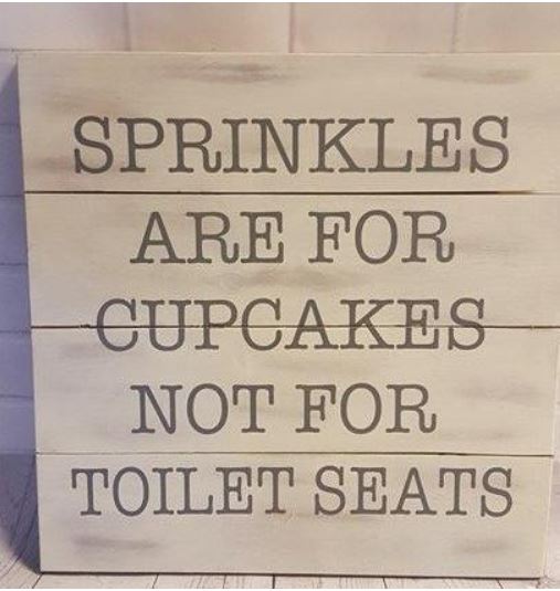Sprinkles are for cupcakes not toilet seats 14x14