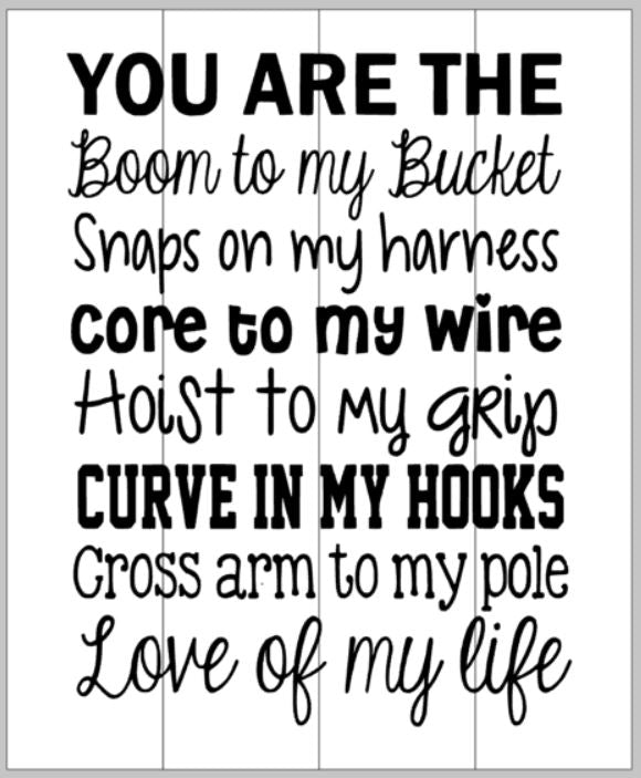 You are the boom to my bucket (linesman) 14x17